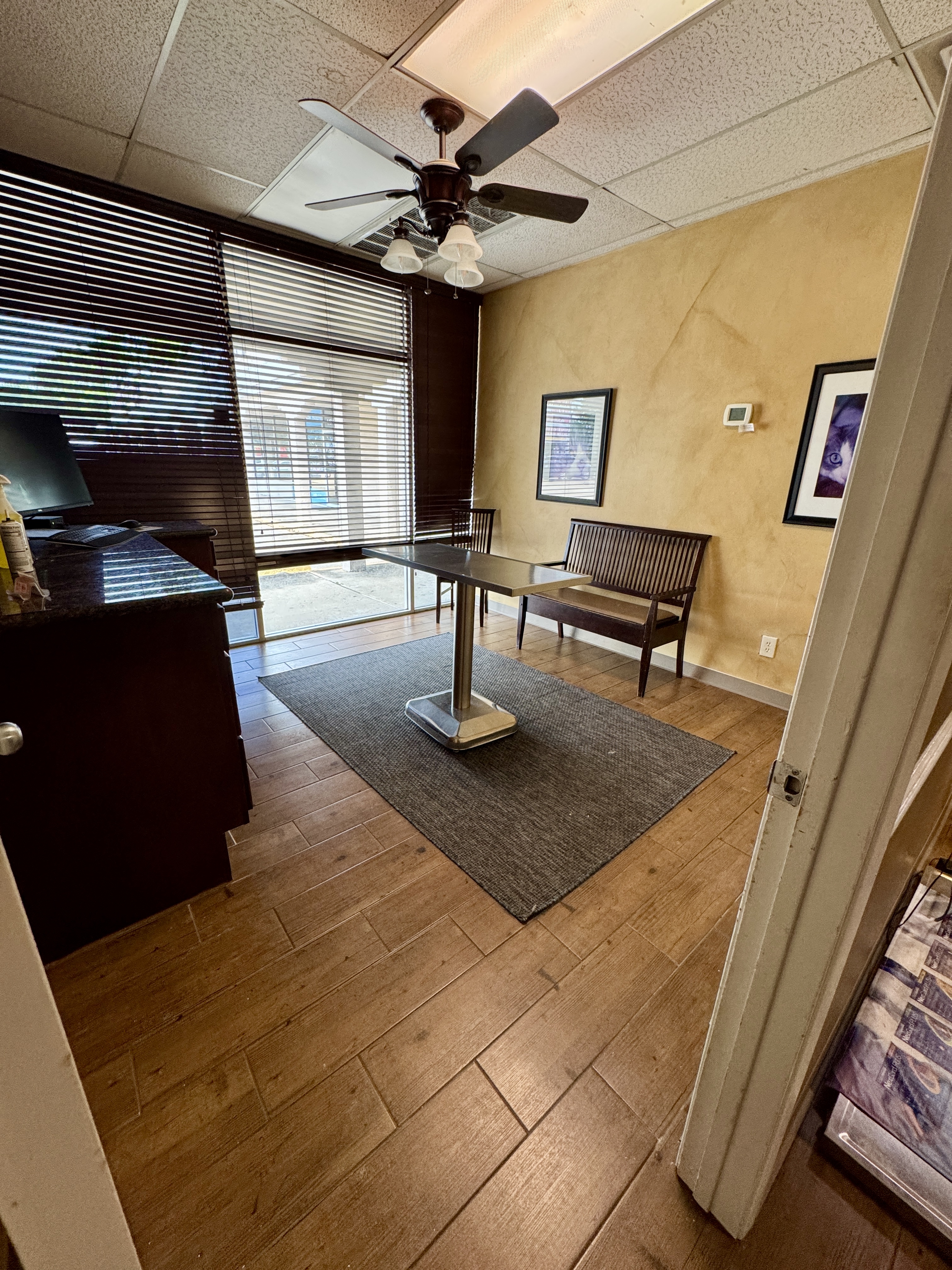 Cat exam room 