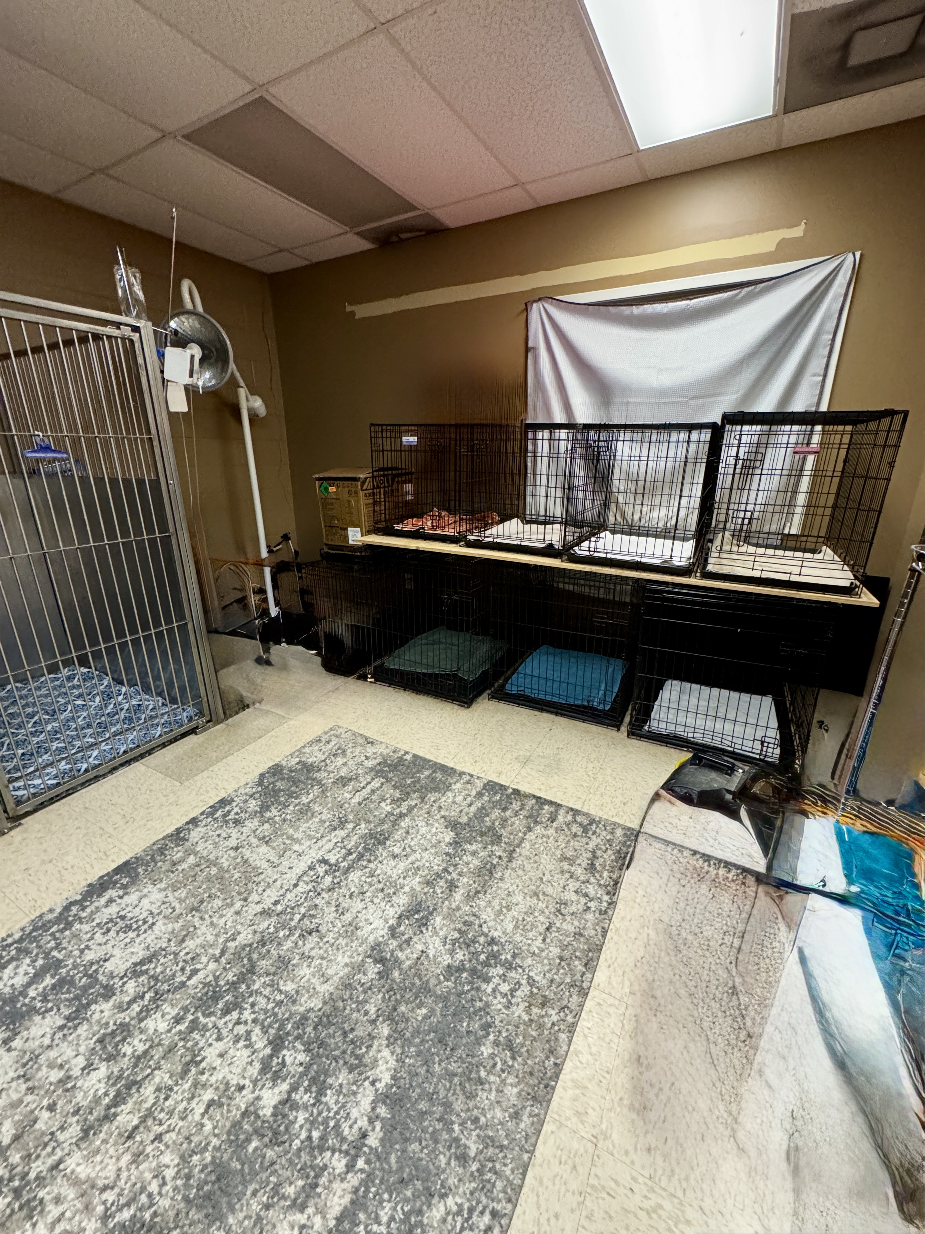 Back small dog cages