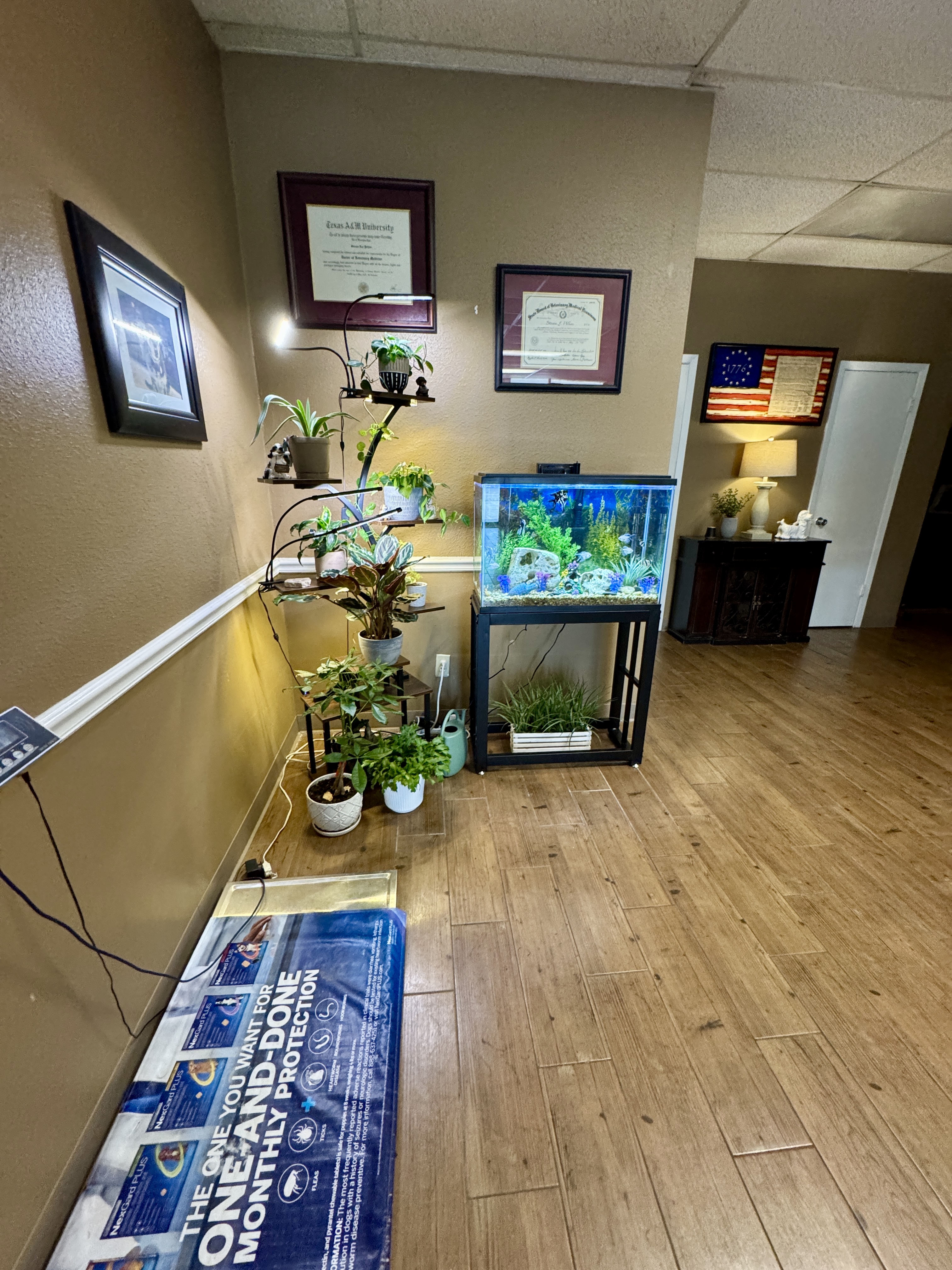 Aquarium 