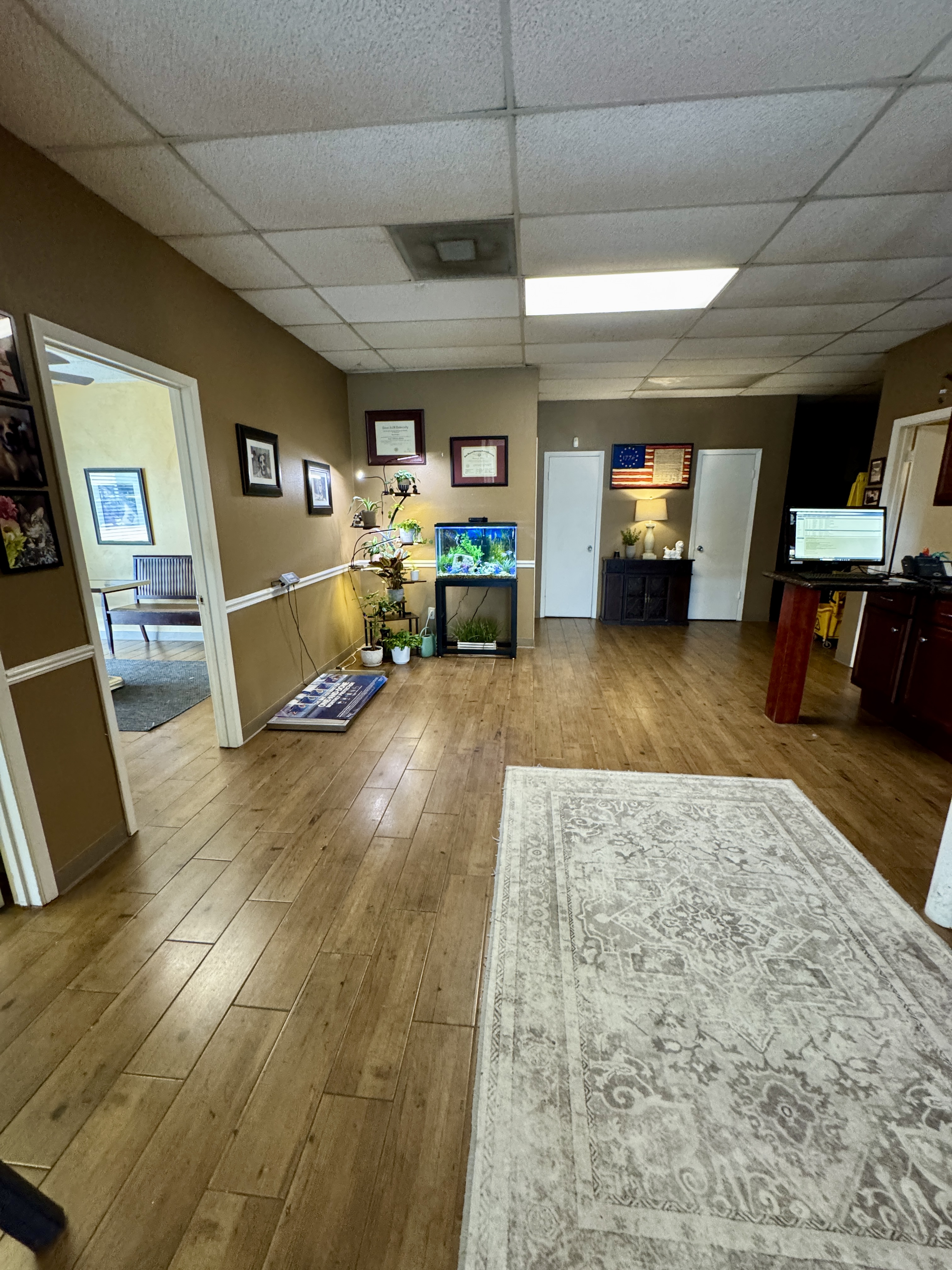 Main Area
