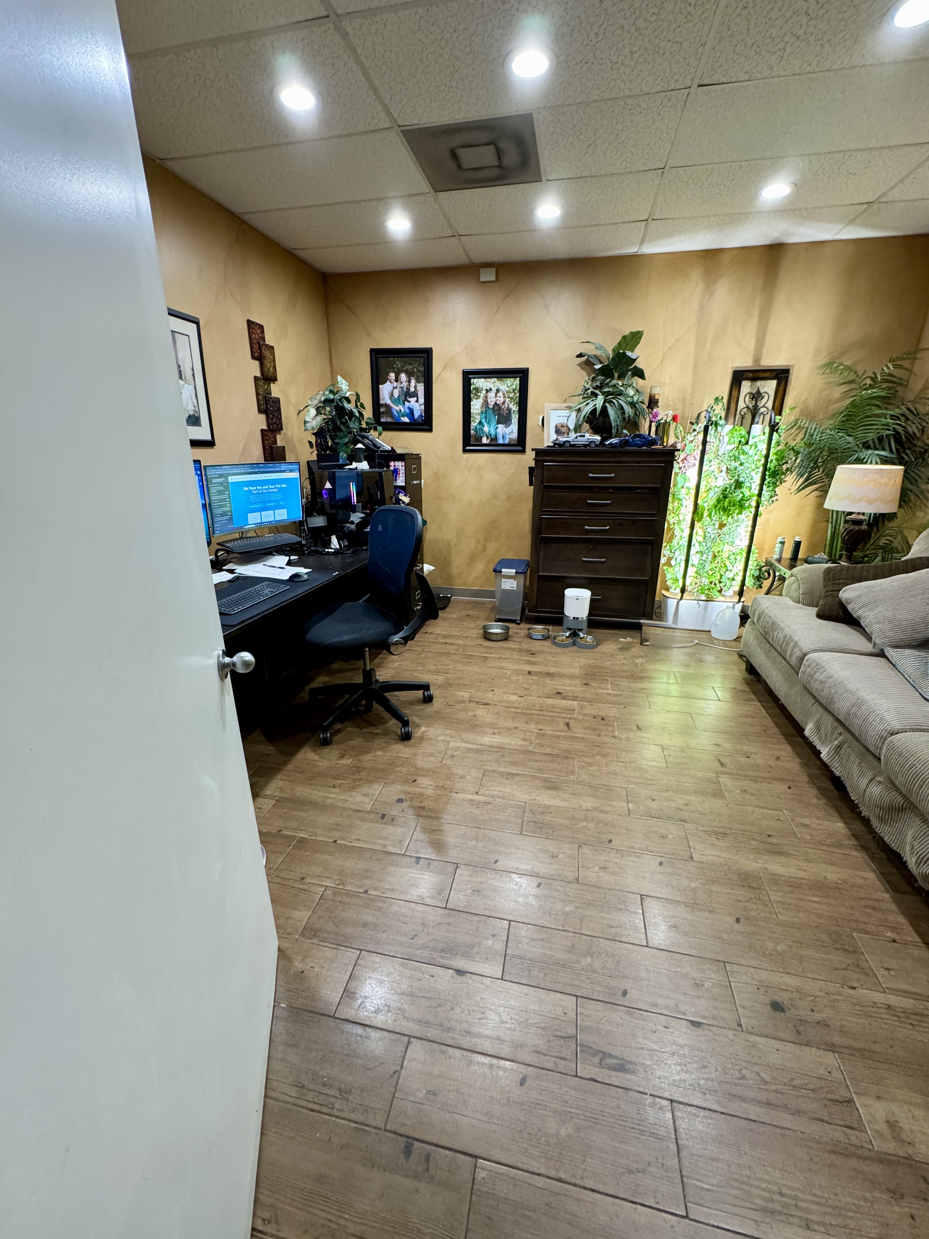 Dr. Pelton Office